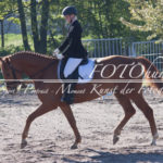 Kirschbergfest Reitturnier Dressur E5 FOTOhunka