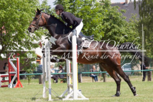 Springturnier Luckowehna 2016 FOTOhunka
